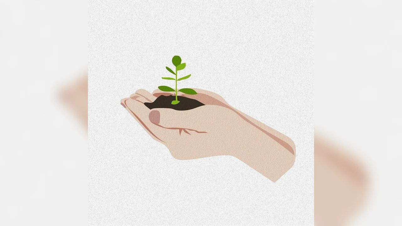 Semințe plante pentru decor și semințe roșii pentru gust – ambele la îndemâna ta