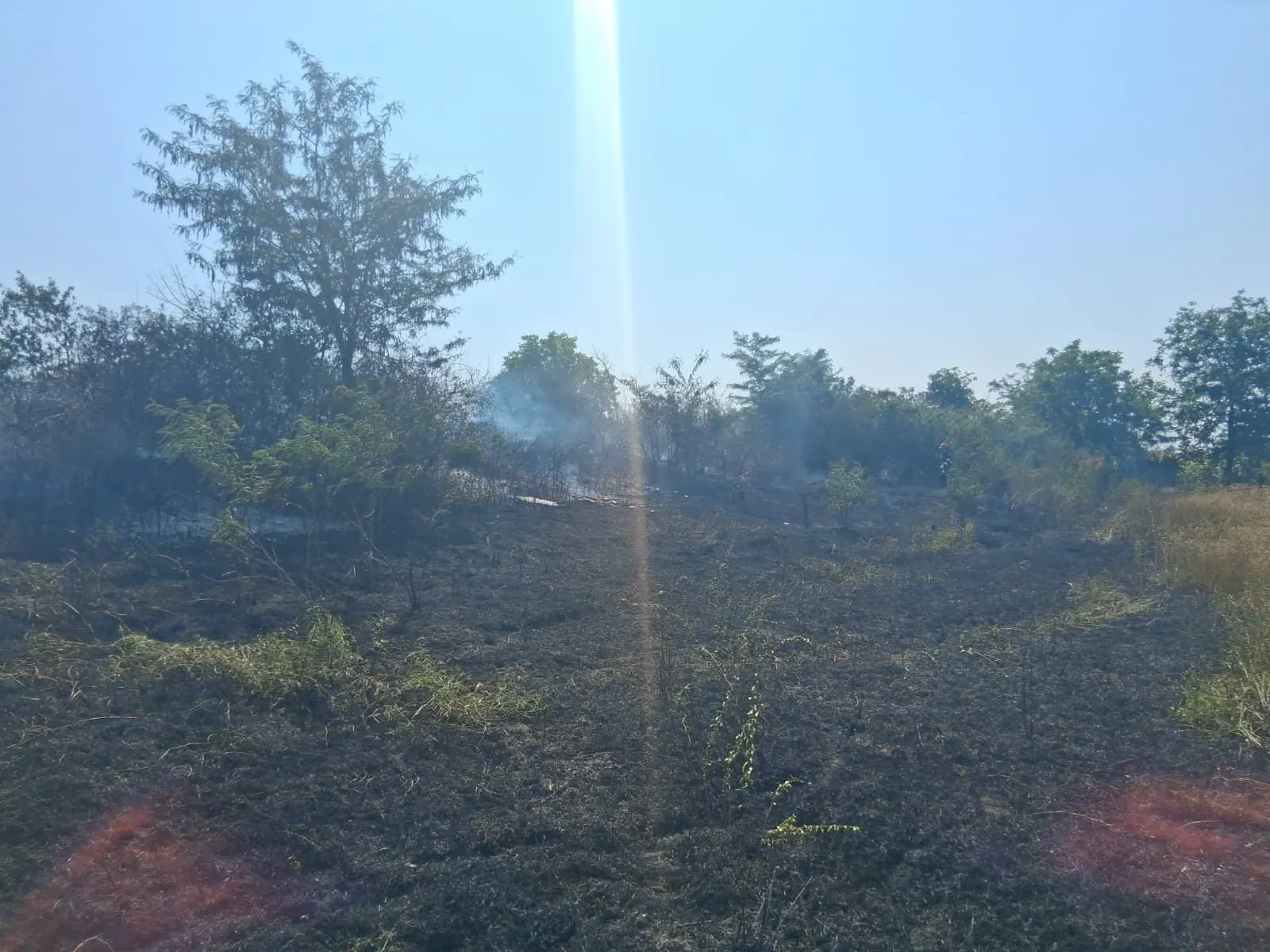 Bărbat de 68 de ani din comuna Rediu, condamnat la peste 19 ani, adus din Italia